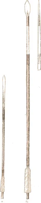 Fig 442 Arrows with bone heads National Museum Washington a 34054 b - фото 158