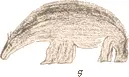 d f g Drawn by Maleki a native of Imigen ESKIMO DRAWINGS - фото 274