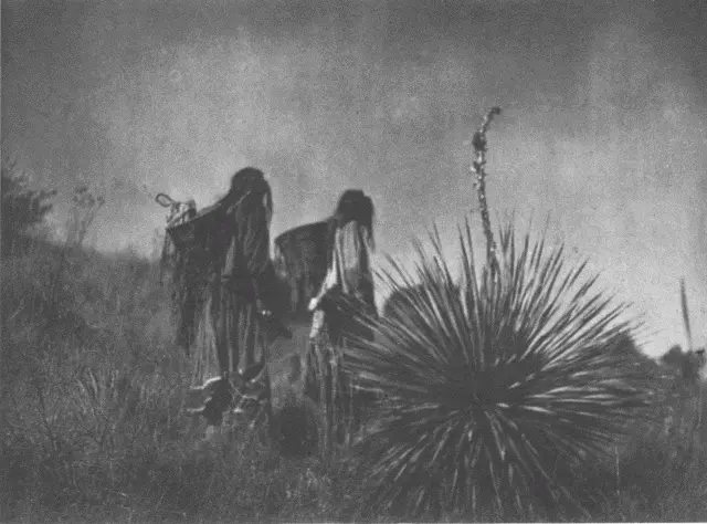 Mescal Harvest Apache Appendix Table of Contents White River Valley - фото 72