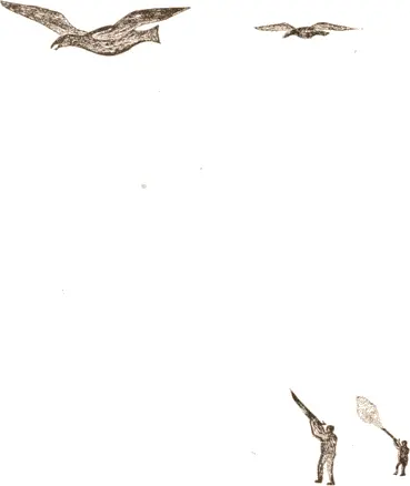 Drawn by Aiseang a native of Nuvujen ESKIMO DRAWING BUREAU OF ETHNOLOGY - фото 277