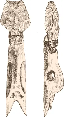 Fig 423 Ancient tokang or harpoon head In A Sturgiss collection New - фото 139