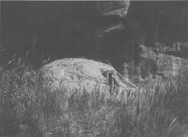 Canon Hogan Navaho Bat came up flying round and round the rock On his back - фото 42