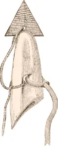 Fig 395 Siatko or harpoon head of the Iglulirmiut From Parry II p 550 - фото 111