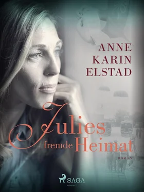 Anne Karin Elstad Julies fremde Heimat обложка книги