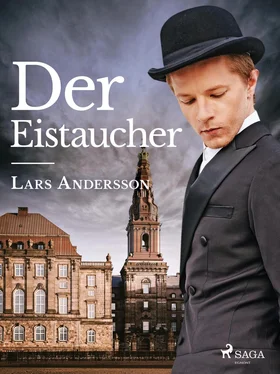 Lars Andersson Der Eistaucher обложка книги