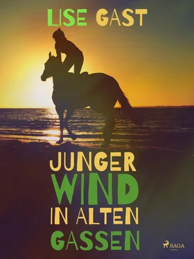 Lise Gast Junger Wind in alten Gassen обложка книги