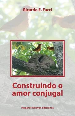 Ricardo E. Facci Constriundo o amor conjugal обложка книги