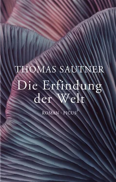 Thomas Sautner Die Erfindung der Welt обложка книги