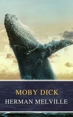 Array MyBooks Classics Moby Dick обложка книги