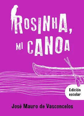 José Mauro de Vasconcelos Rosinha, mi canoa обложка книги
