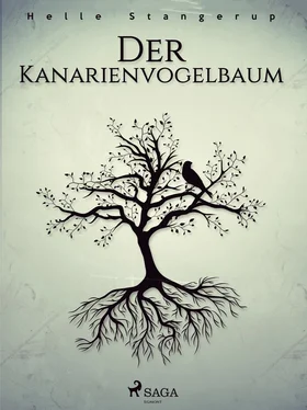 Helle Stangerup Der Kanarienvogelbaum обложка книги