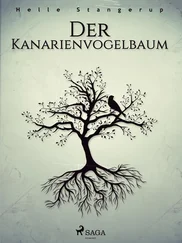 Helle Stangerup - Der Kanarienvogelbaum