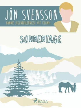 Jón Svensson Sonnentage - Nonni's Jugenderlebnisse auf Island обложка книги