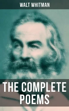 Walt Whitman The Complete Poems of Walt Whitman обложка книги