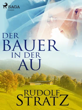 Rudolf Stratz Der Bauer in der Au обложка книги