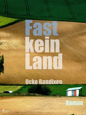 Ocke Bandixen Fast kein Land обложка книги