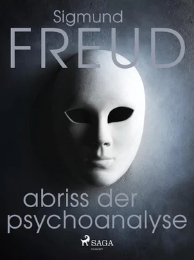 Sigmund Freud Abriss der Psychoanalyse