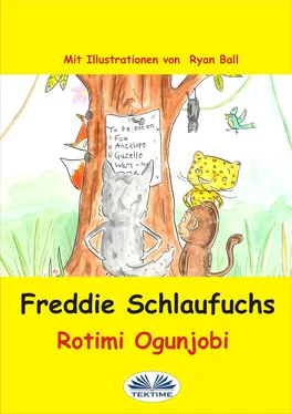 Rotimi Ogunjobi Freddie Schlaufuchs обложка книги