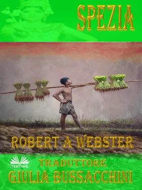 Robert A. Webster Spezia обложка книги