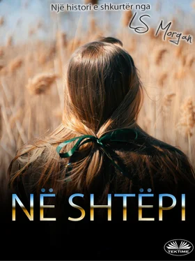 LS Morgan Në Shtëpi обложка книги