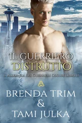 Brenda Trim - Il Guerriero Distrutto