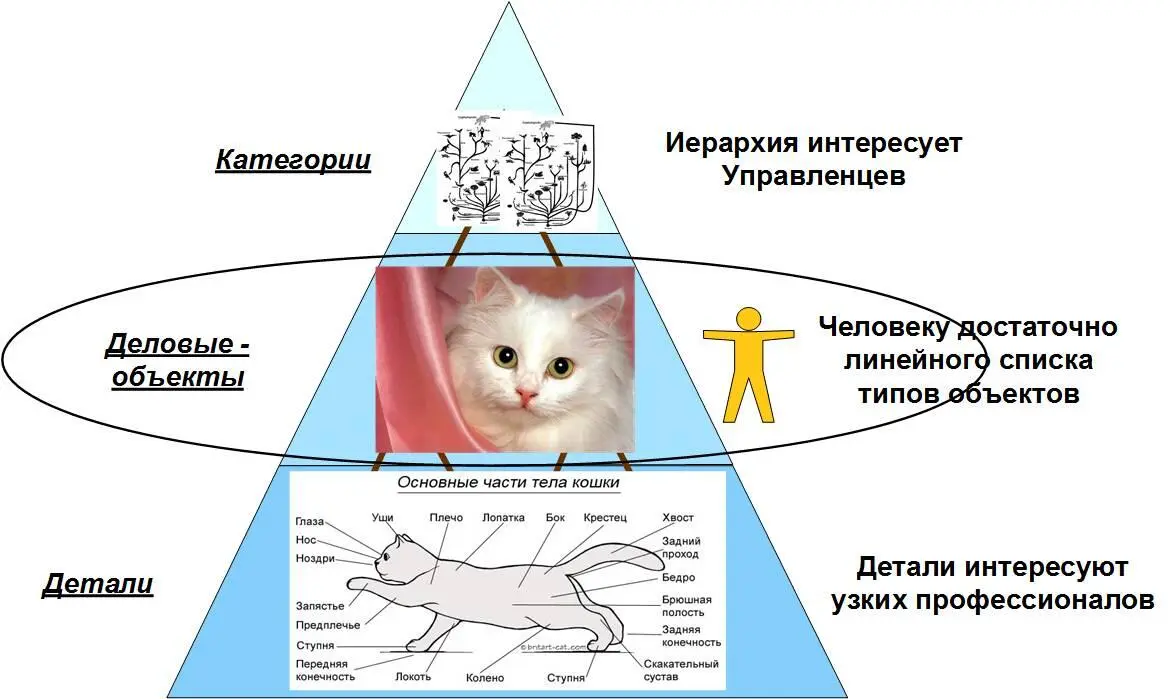 Рис Кошки это кошки Переводя на современный технический язык автомобиль - фото 3