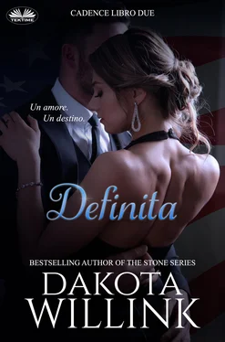 Dakota Willink Definita обложка книги