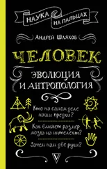 Андрей Шляхов - Человек - эволюция и антропология