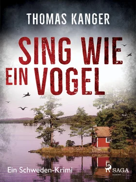 Thomas Kanger Sing wie ein Vogel - Ein Schweden-Krimi обложка книги