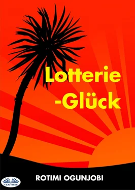 Rotimi Ogunjobi Lotterie-Glück обложка книги