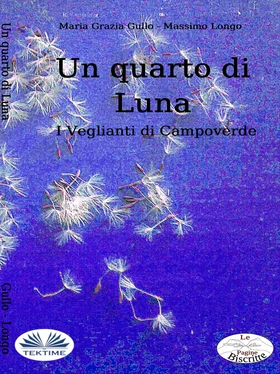 Massimo Longo E Maria Grazia Gullo Un Quarto Di Luna обложка книги