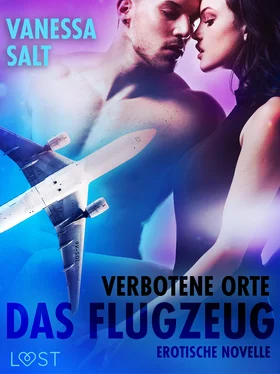 Vanessa Salt Verbotene Orte: Das Flugzeug - Erotische Novelle обложка книги