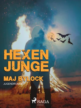 Maj Bylock Hexenjunge обложка книги