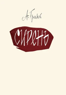 Андрей Громов Сирень обложка книги