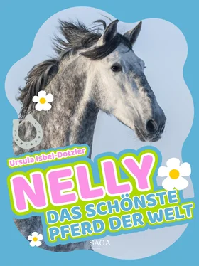 Ursula Isbel-Dotzler Nelly - Das schönste Pferd der Welt обложка книги