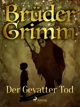 Brüder Grimm Der Gevatter Tod обложка книги