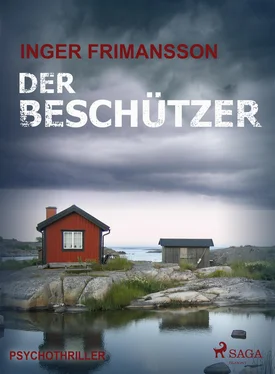 Inger Frimansson Der Beschützer - Psychothriller обложка книги