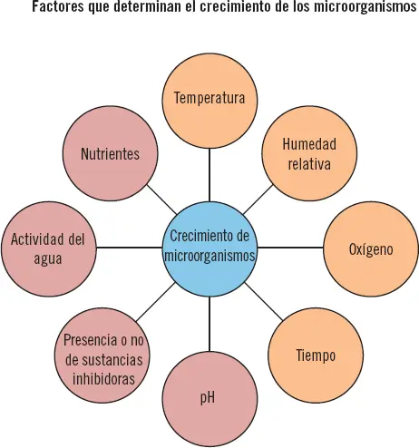 Aplicación práctica Se encuentra en una fábrica que elabora conservas vegetales - фото 38