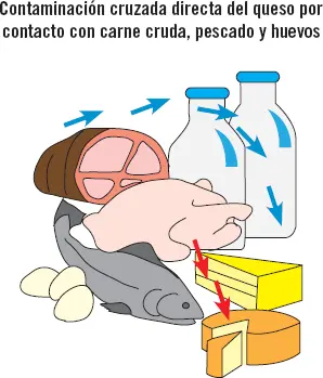Indirecta Tiene lugar cuando los microorganismos que se encuentran en el - фото 21