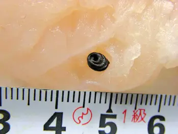 Presencia de anisakis en un pescado Sabía que Antiguamente la frecuencia - фото 30