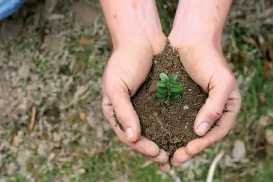 La tierra puede albergar gran cantidad de microorganismos El agua El agua - фото 8