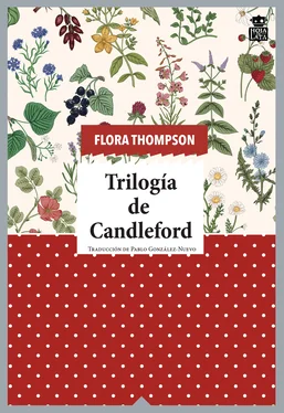 Flora Thompson Trilogía de Candleford обложка книги