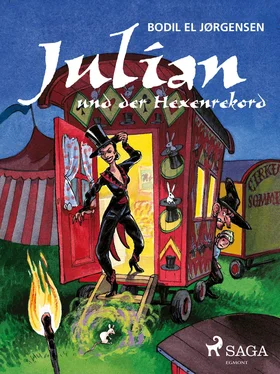Bodil El Jørgensen Julian und der Hexenrekord обложка книги