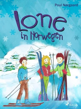 Poul Nørgaard Lone in Norwegen обложка книги