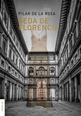 Pilar de Rosa Seda de Florencia обложка книги