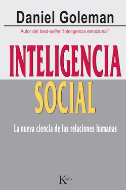 Daniel Goleman Inteligencia social обложка книги