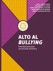 Leonardo García Lozano - Alto al bullying