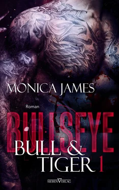 Monica James Bullseye - Bull & Tiger обложка книги