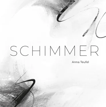 Anna Teufel Schimmer обложка книги