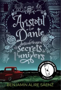Benjamin Alire Saenz Aristòtil i Dante descobreixen els secrets de l'univers обложка книги